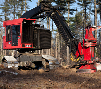 Forestry machine on dirt