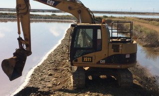 11T Cat Excavator  1