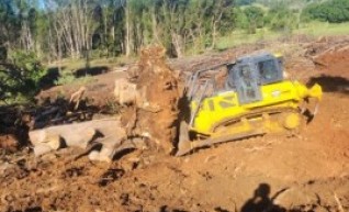20t Dozer 1