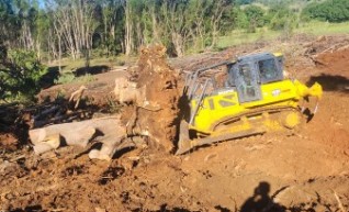 20t Dozer 1