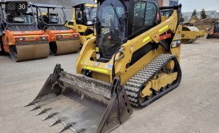 Cat 259d 1