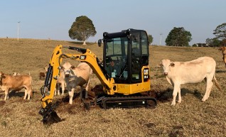 CAT 301.8D Excavator 1