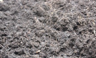 Compost 1