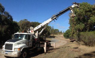 Crane Borer 1