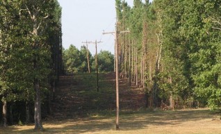 Easement Clearance 1