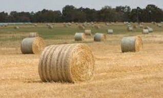 Hay Balers - Square 8x4x3, Round 4x4/4x3 and small square 1