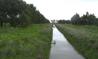Irrigation Channels  1