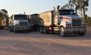 Iveco Powerstar Truck & Dog 1