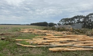 Land clearing 1