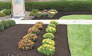Mulching 1