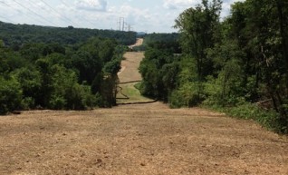 Powerline Clearance 1