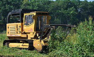 Rayco C185 Forestry Mulcher 1