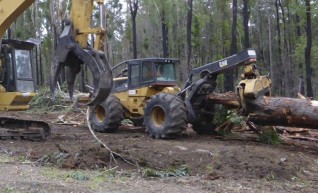 Skidder 1