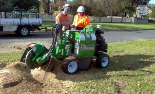 Stump grinding 1