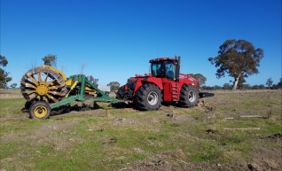 Steiger w/Stump Plucker 1