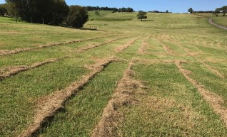 Tractor Slashing 1
