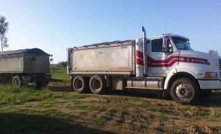 Truck & Dog 1