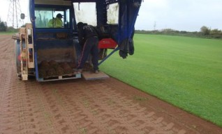 Turf Preparation  1