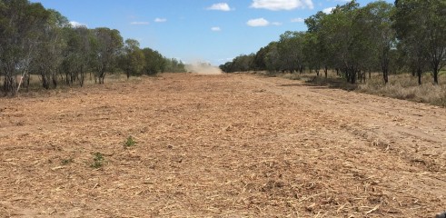  Forestry Mulcher 3