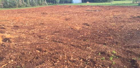  Forestry Mulcher 5