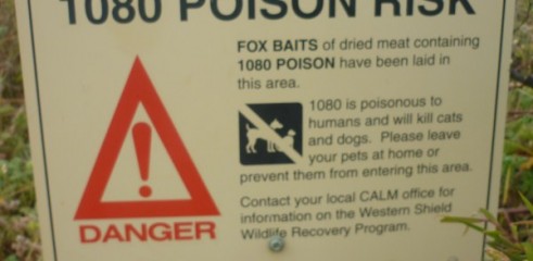 1080 baiting 1
