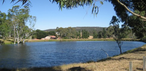 Dam Building 3