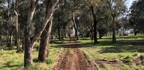 Dozer D6TXL w/operator 10
