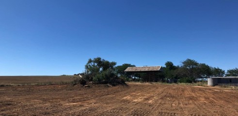 Dozer D6TXL w/operator 12