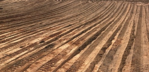 Dozer D6TXL w/operator 5
