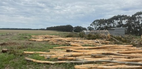 Land clearing 1