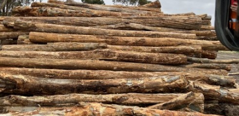 Land clearing 4