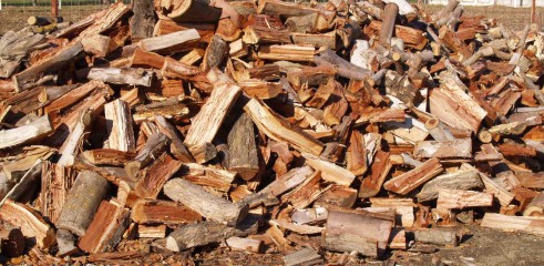 Mulch and Firewood sales 1