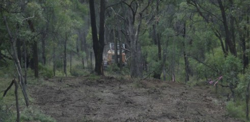 Mulching Access Tracks 4