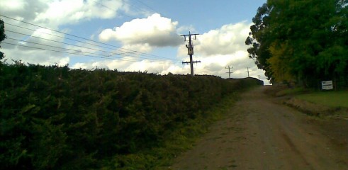 Power line clearing 12