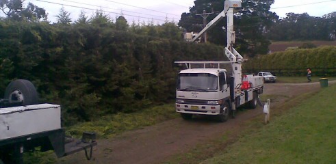Power line clearing 8