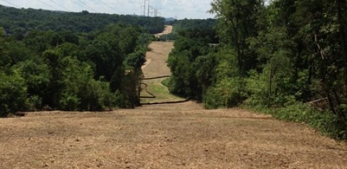 Powerline Clearance 1