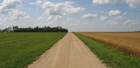 Road Building 2