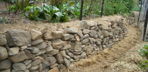 Rock Wall Construction 1