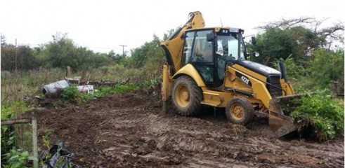 Site Clearing 1