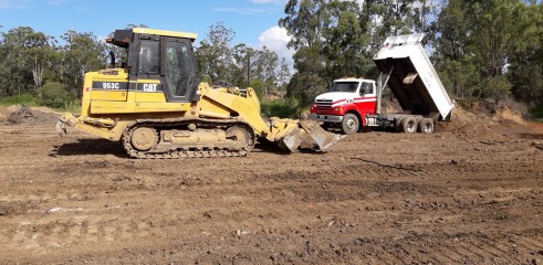 Site Cut / Cut and Fill 1