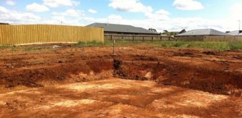 Site Cuts 1