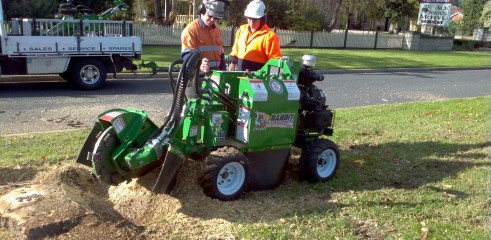 Stump grinding 1
