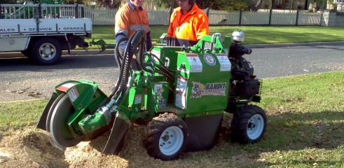 Stump grinding 3