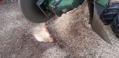 Stump grinding 4