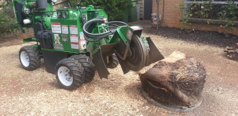 Stump grinding 5