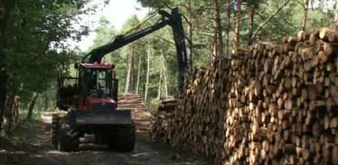 Timber Stacking 3