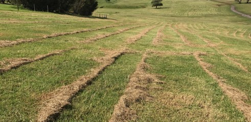 Tractor Slashing 1