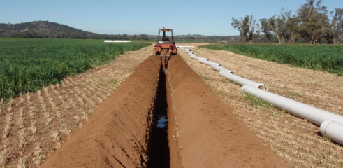 Trenching 4