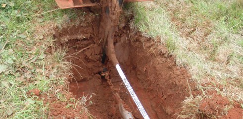 Trenching 7