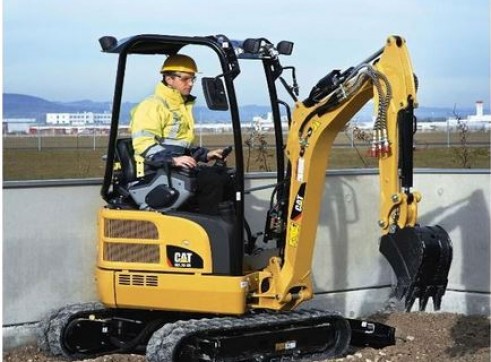 1.7T Cat Excavator 1